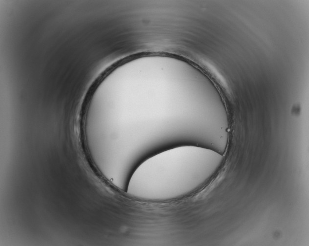 X0000102770932200808180952