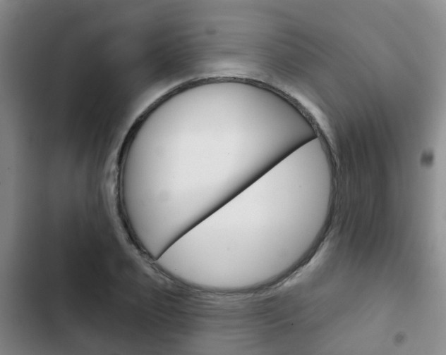 X0000102770933200808180952