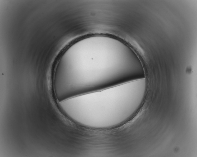 X0000102770934200808180952