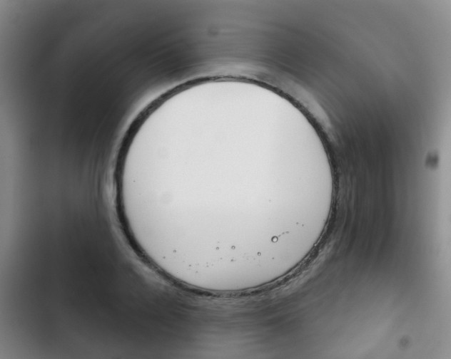 X0000102770936200808180952