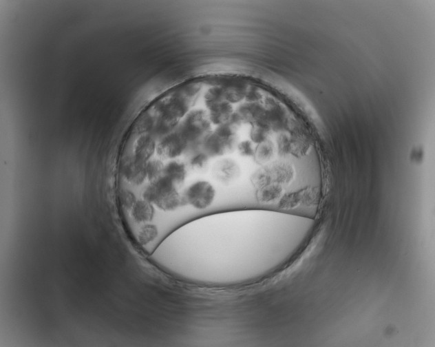 X0000102770937200808180952