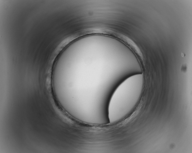 X0000102770938200808180952