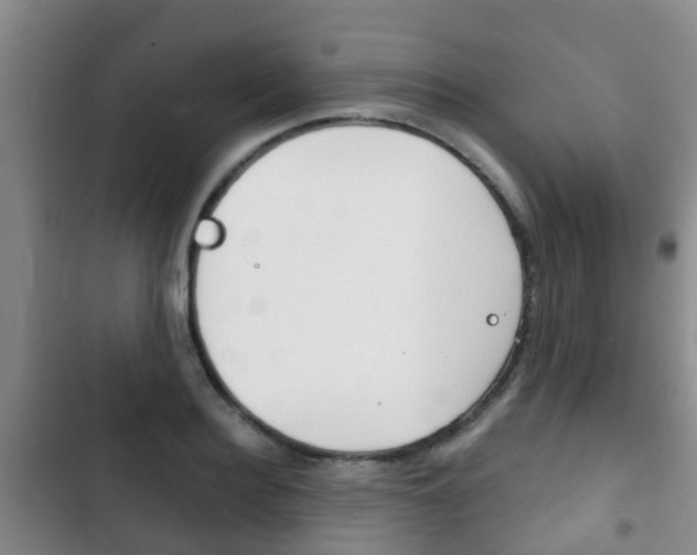 X0000102770940200808180952