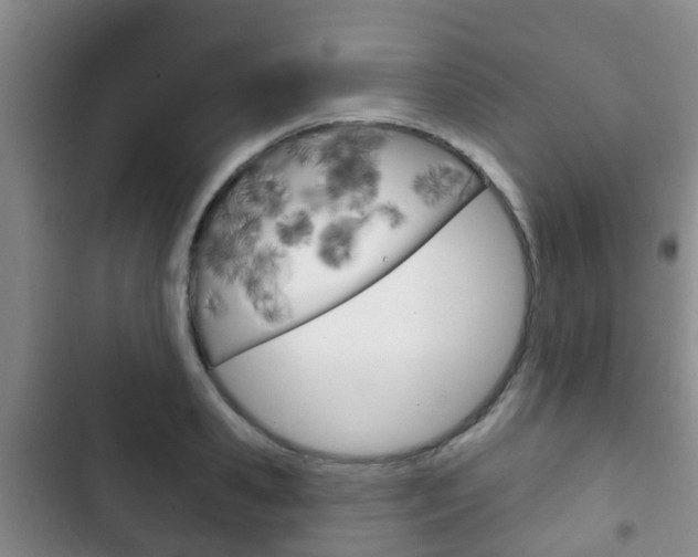 X0000102770941200808180952