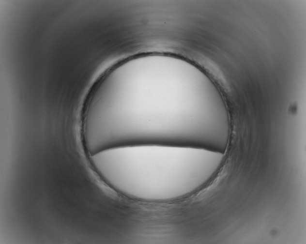 X0000102770942200808180952