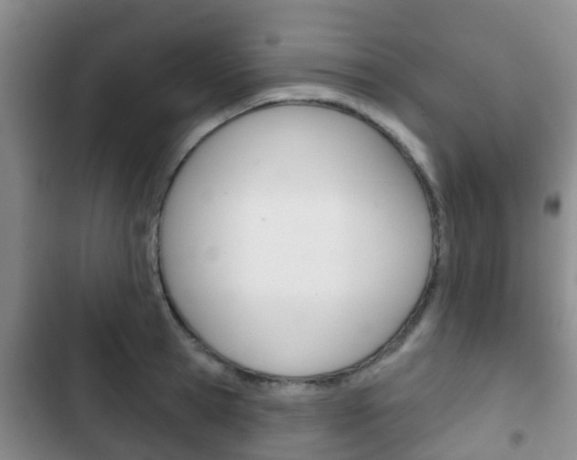 X0000102770945200808180952