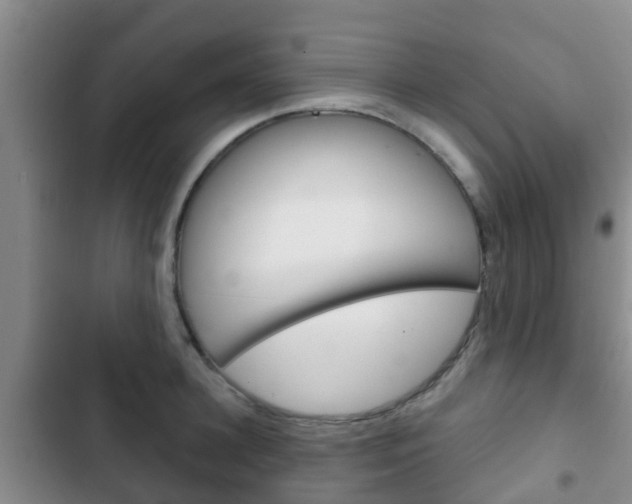 X0000102770948200808180952