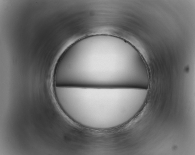 X0000102770949200808180952
