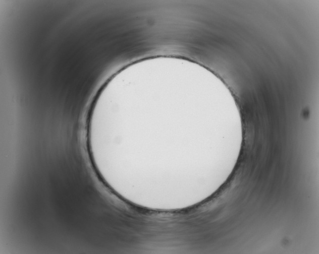 X0000102770950200808180952