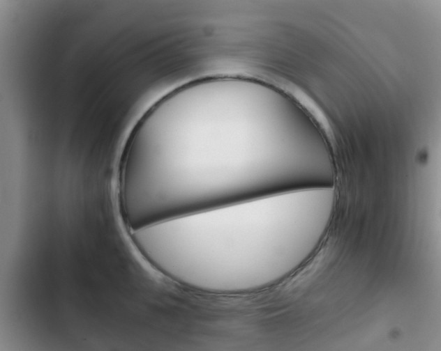 X0000102770951200808180952