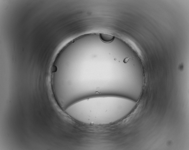 X0000102770952200808180952
