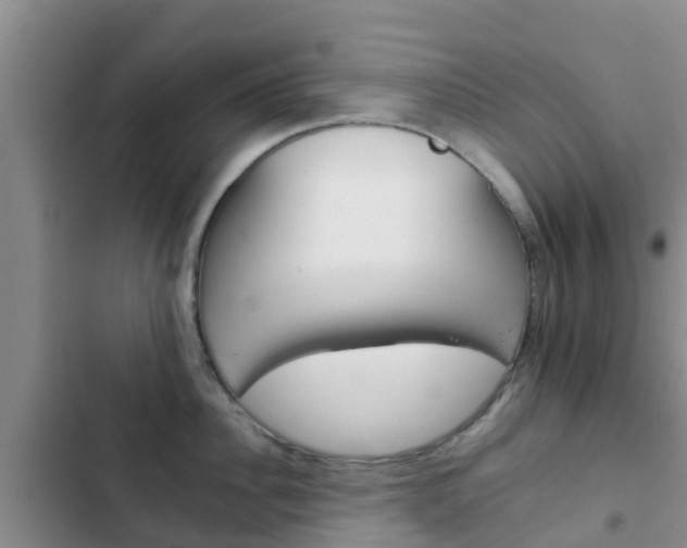 X0000102770956200808180952