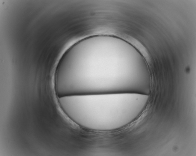 X0000102770958200808180952