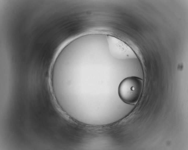 X0000102770960200808180952
