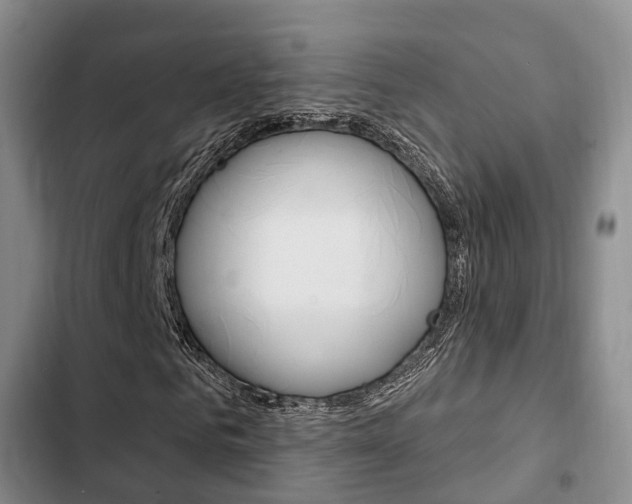 X0000102770961200808180951