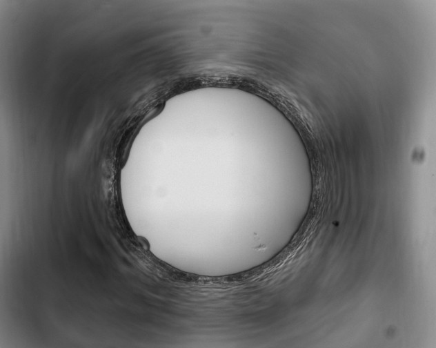 X0000102770964200808180951