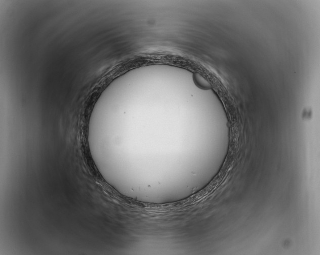 X0000102770965200808180951