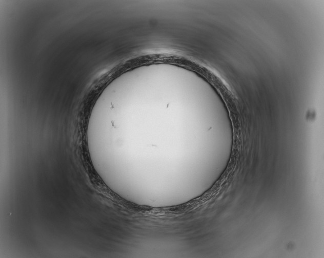 X0000102770967200808180951