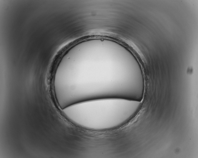 X0000102770971200808180951