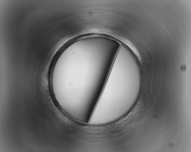 X0000102770972200808180951