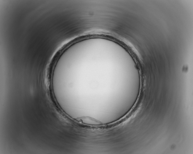 X0000102770973200808180951