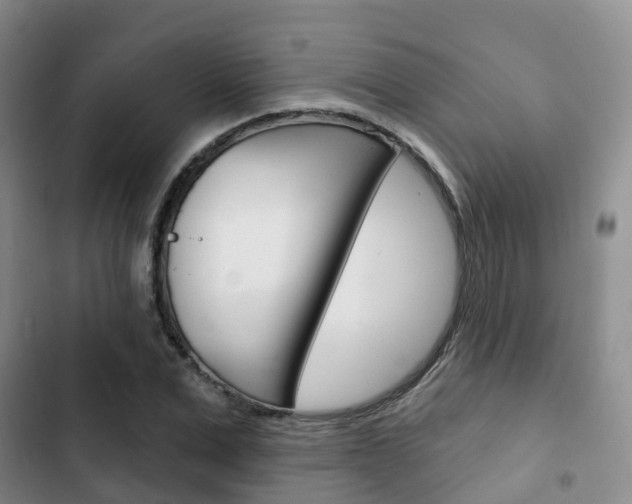 X0000102770975200808180951