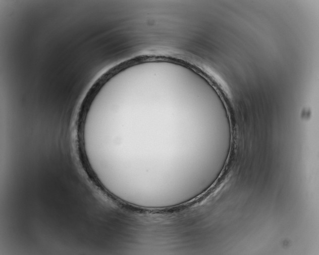 X0000102770976200808180951