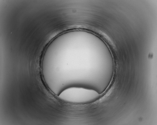 X0000102770977200808180951
