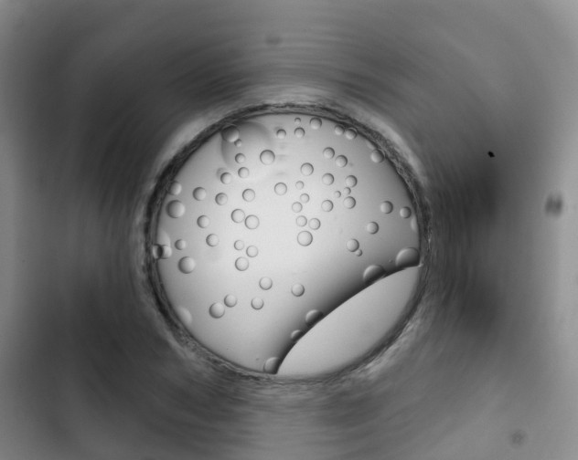 X0000102770978200808180951