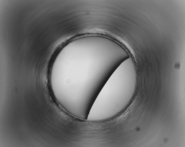 X0000102770979200808180951