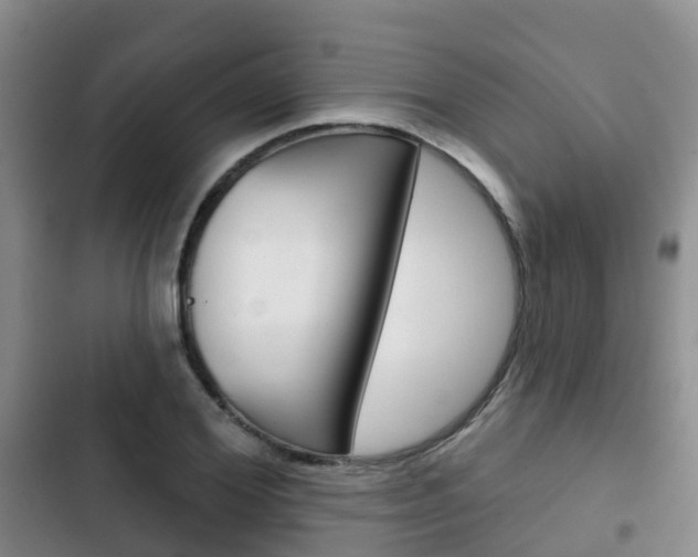X0000102770980200808180951