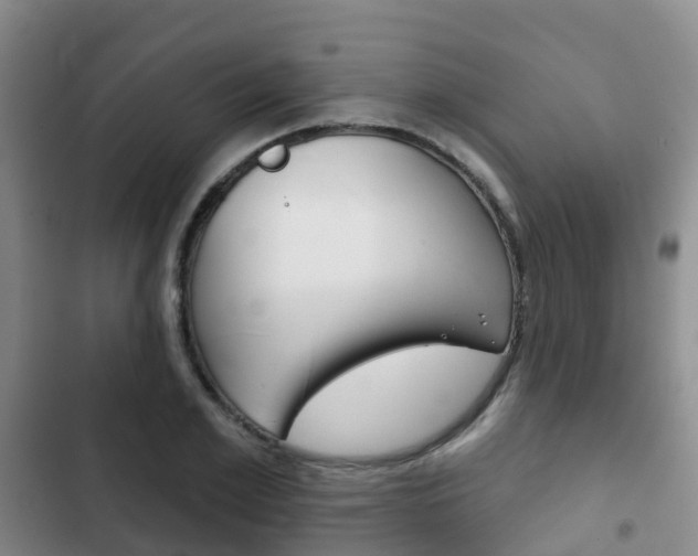 X0000102770981200808180951