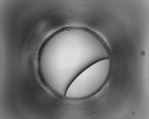 X0000102770982200808180951
