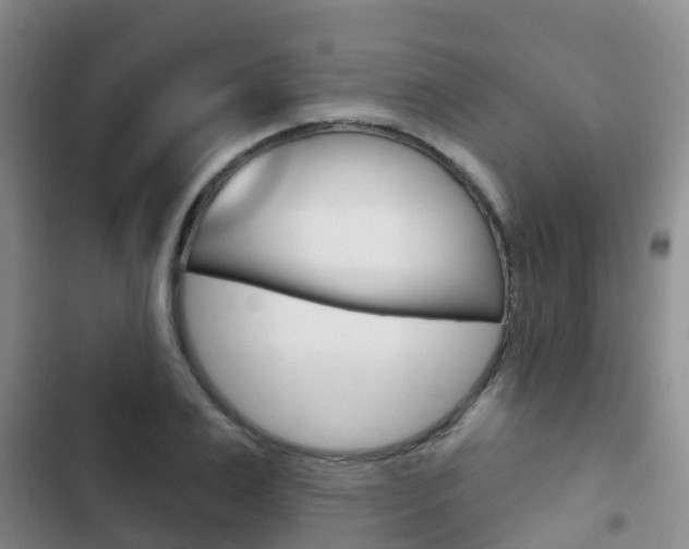 X0000102770983200808180951