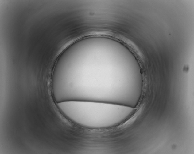 X0000102770985200808180951