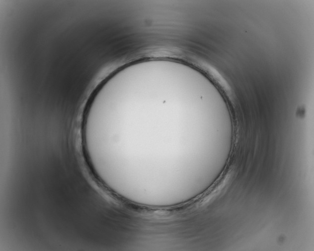 X0000102770986200808180951