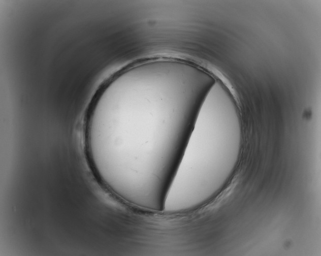 X0000102770987200808180951