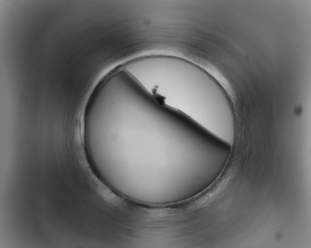 X0000102770988200808180951