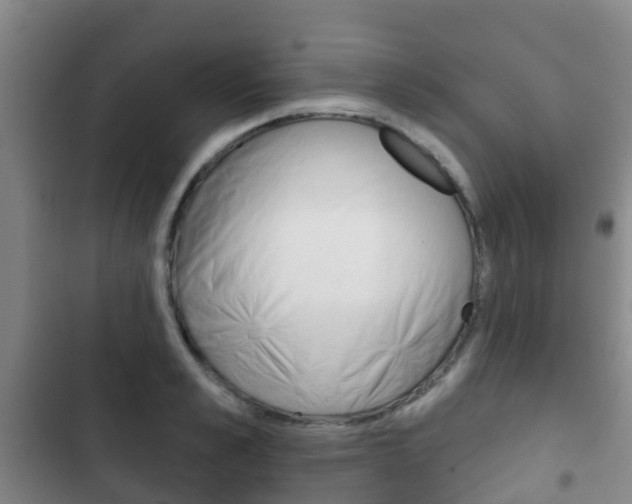 X0000102770989200808180951