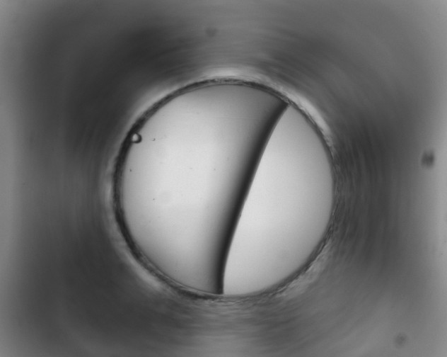 X0000102770991200808180951