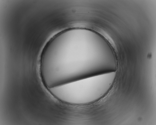 X0000102770992200808180951