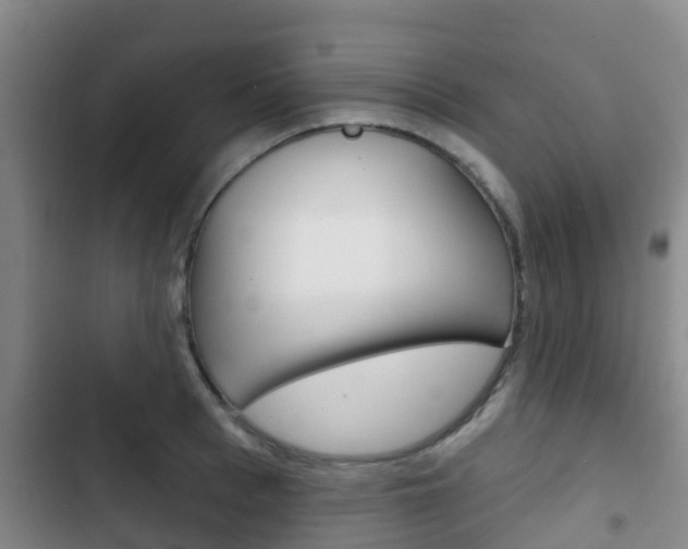 X0000102770993200808180951