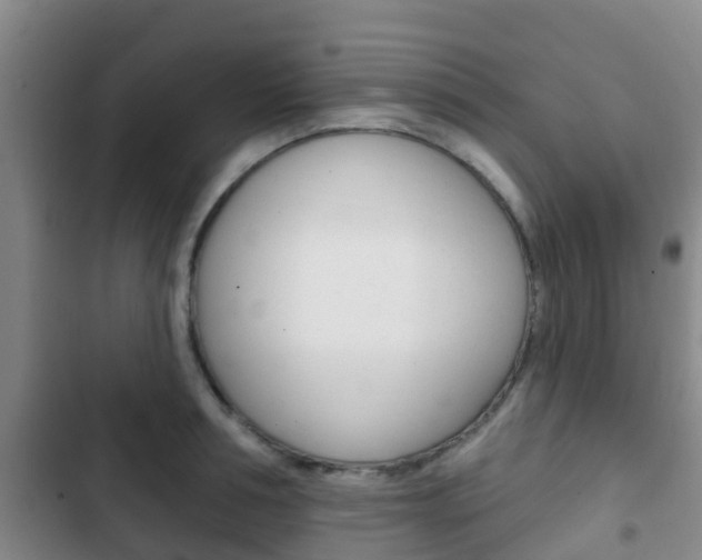 X0000102770994200808180951