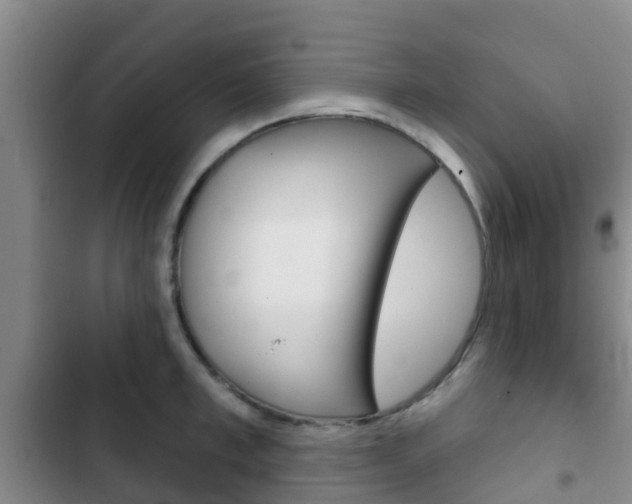 X0000102770997200808180951