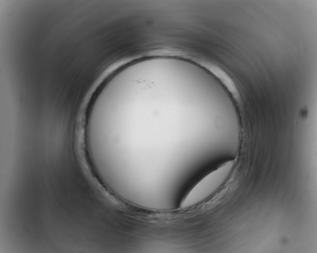 X0000102771000200808180951