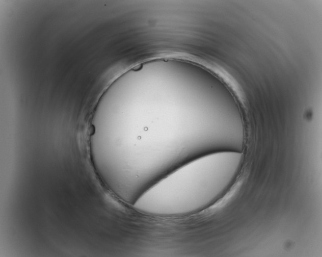 X0000102771001200808180951