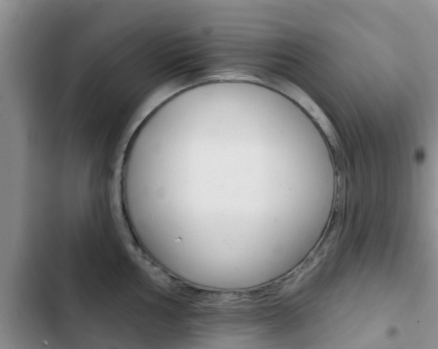 X0000102771002200808180951