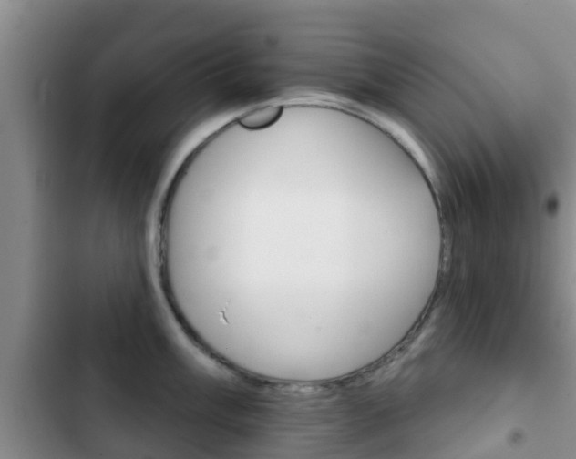 X0000102771003200808180951