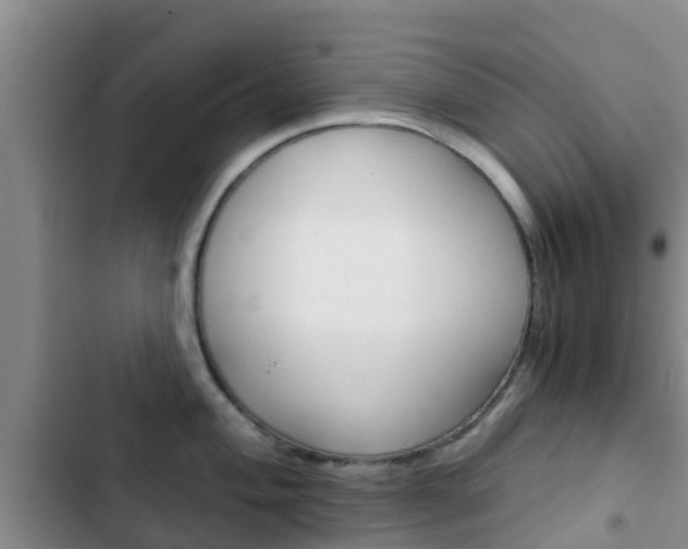 X0000102771004200808180951