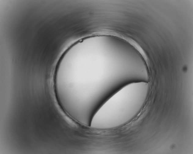 X0000102771005200808180951